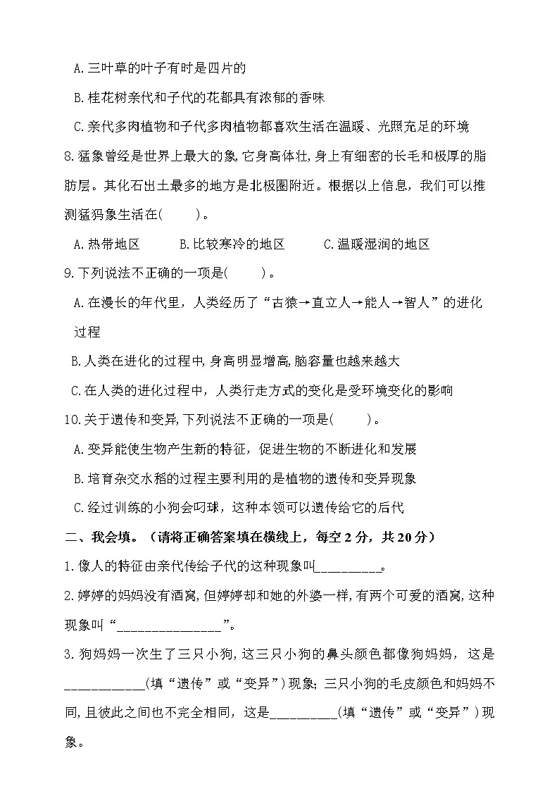 新大象版科学六年级上册第四单元测试卷（含答案）02