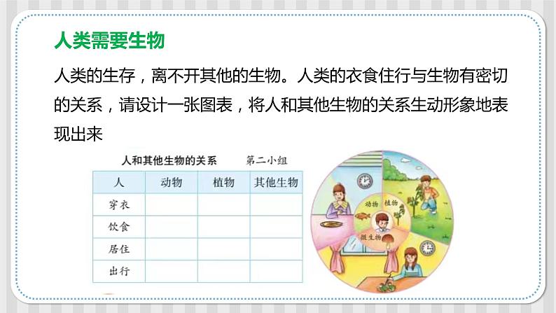 新冀人版六年级科学上册 第17课《保护生物》课件PPT+教案03