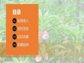 青岛版科学（2017）六三制三年级上册2.5《植物的“身体”》教学课件
