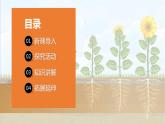青岛版科学（2017）六三制三年级上册2.6《植物的根》教学课件