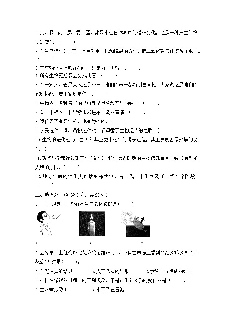 【期中模拟卷】苏教版小学科学六年级上册 期中模拟试卷1（含答案）02
