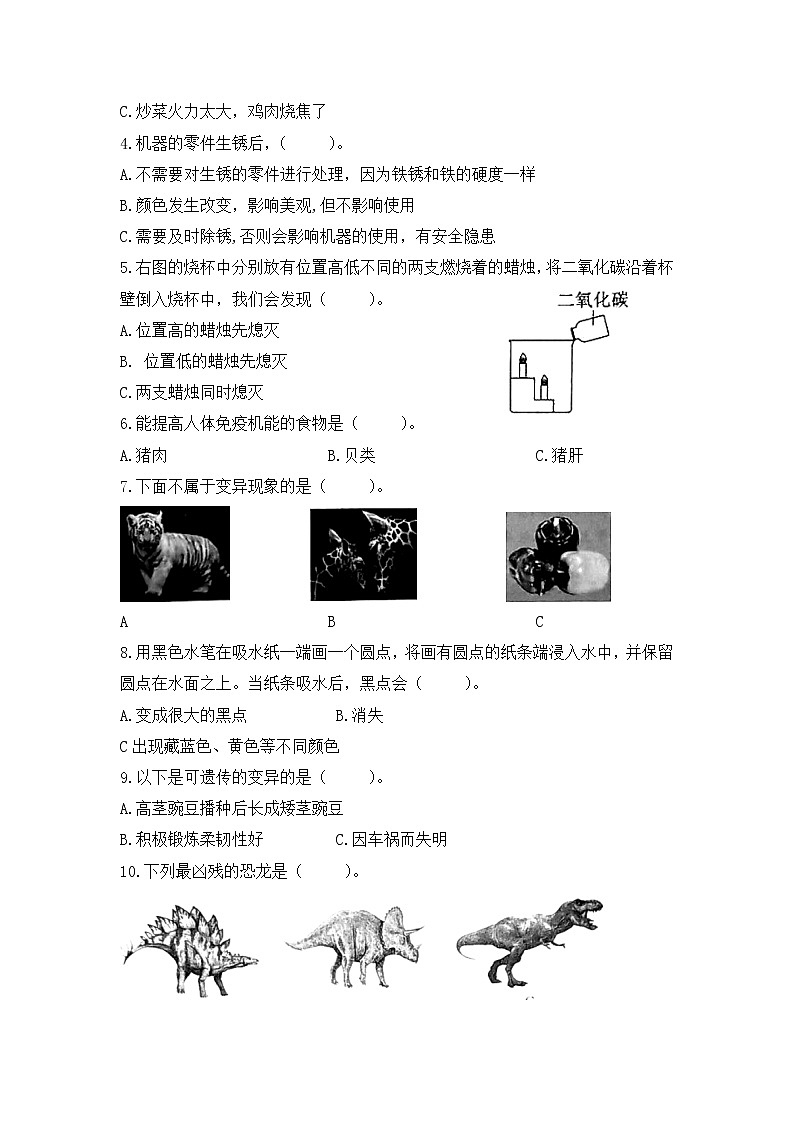【期中模拟卷】苏教版小学科学六年级上册 期中模拟试卷1（含答案）03
