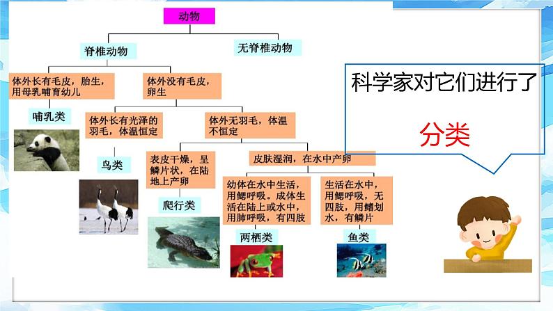 2.6《给动物分类》课件+教案+活动记录单+微课视频04