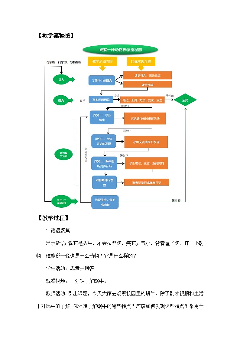 2.3《观察一种动物》课件+教案+教学流程图+视频素材03