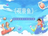 2.5《观察鱼》课件+教案+教学流程图+微课视频