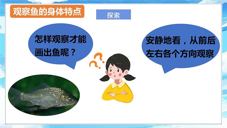 2.5《观察鱼》课件+教案+教学流程图+微课视频05