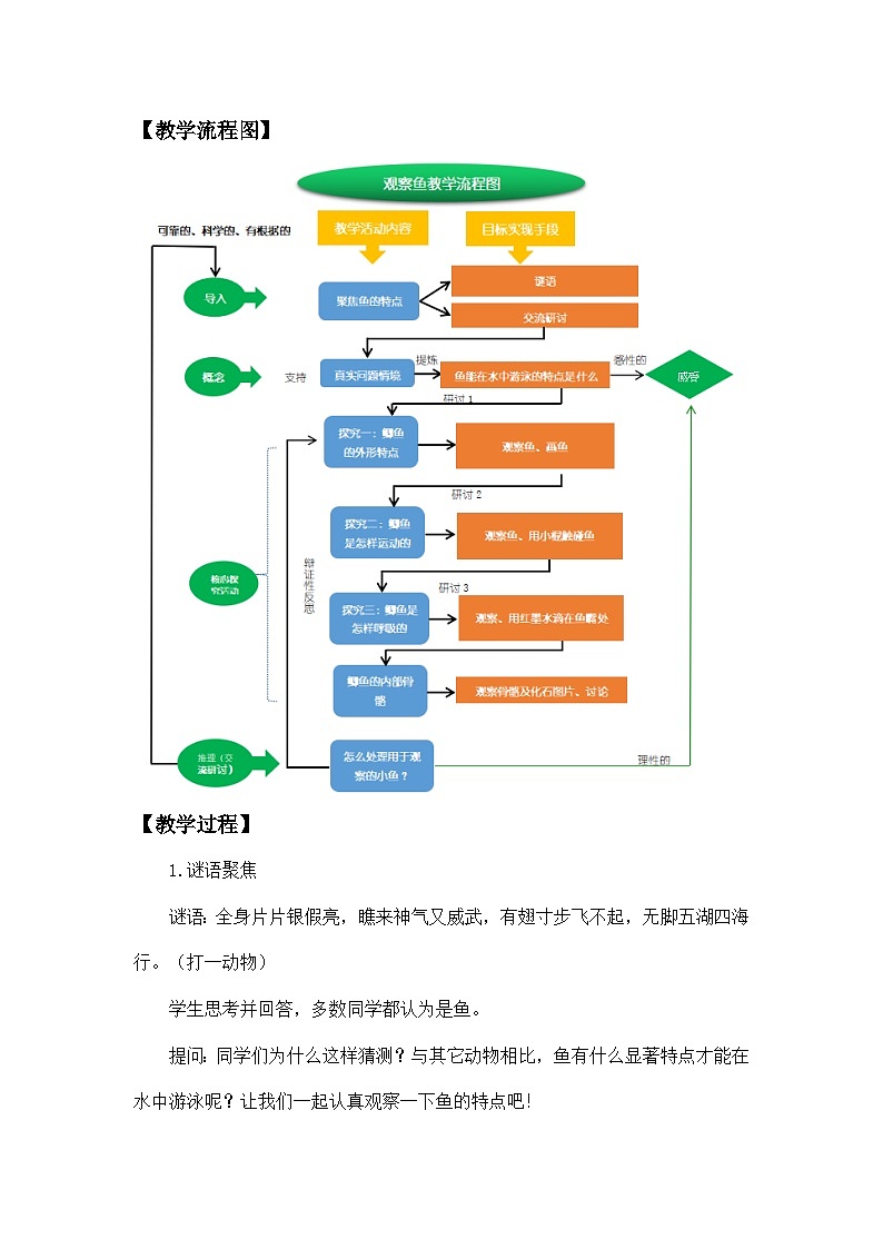 2.5《观察鱼》课件+教案+教学流程图+微课视频03
