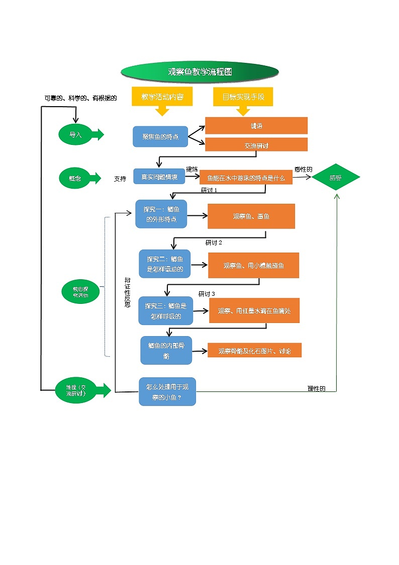 2.5《观察鱼》课件+教案+教学流程图+微课视频01