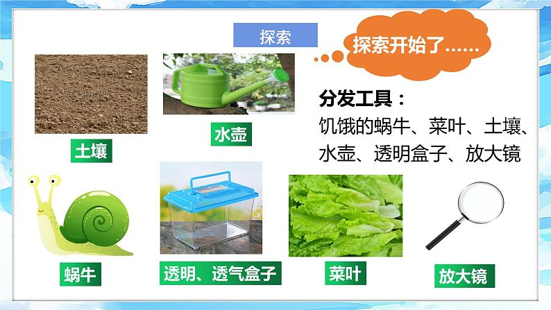 2.4《给动物建个”家“》课件+教案+教学流程图+微课视频07