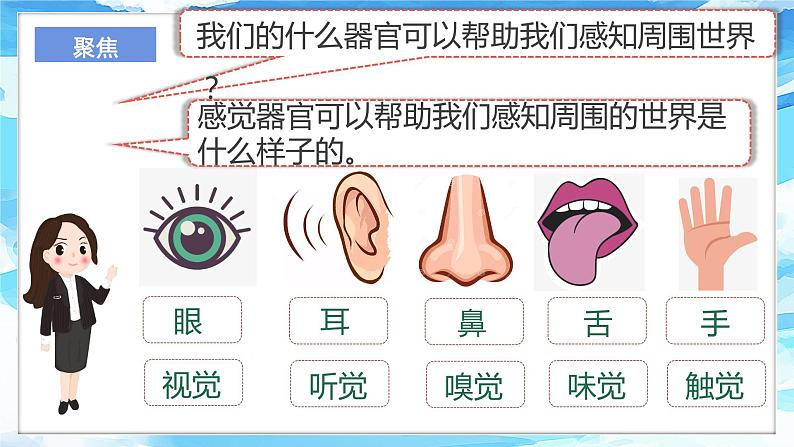 2.2《通过感官来发现》课件+教案+实验记录单+视频04