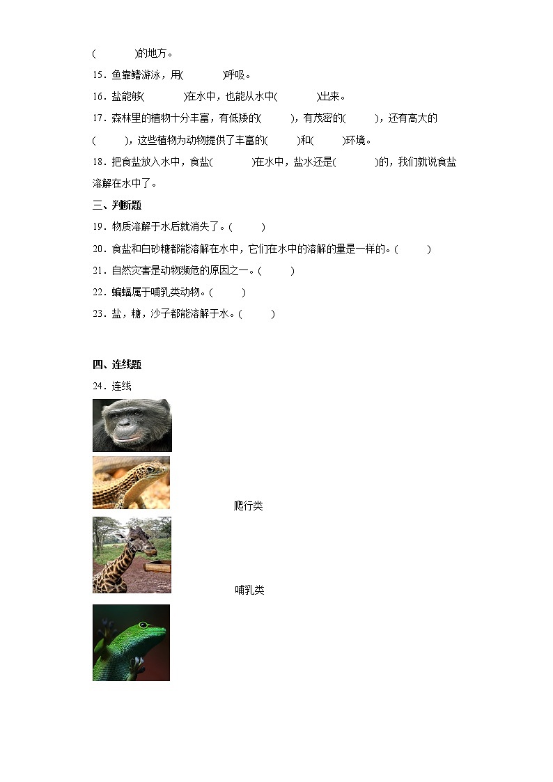 粤教版三年级科学上册期中达标测试卷（二）含答案第2页