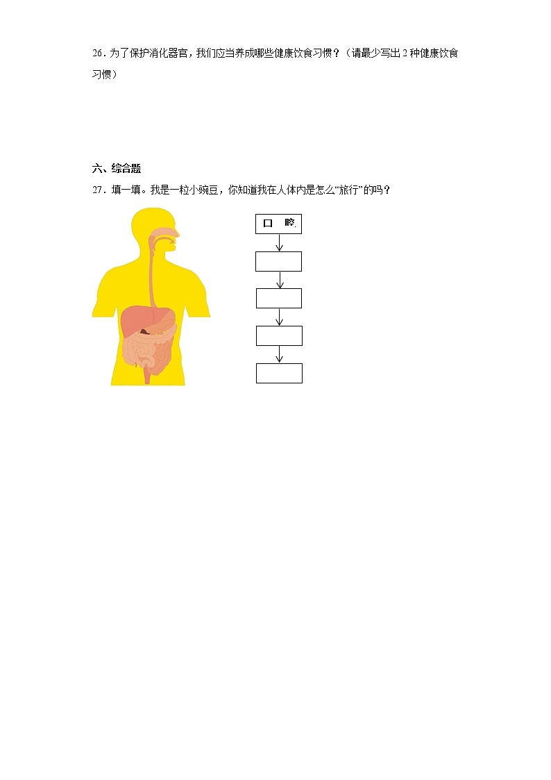 人教版三年级上册科学第一单元达标测试卷食物与消化（一）含答案03