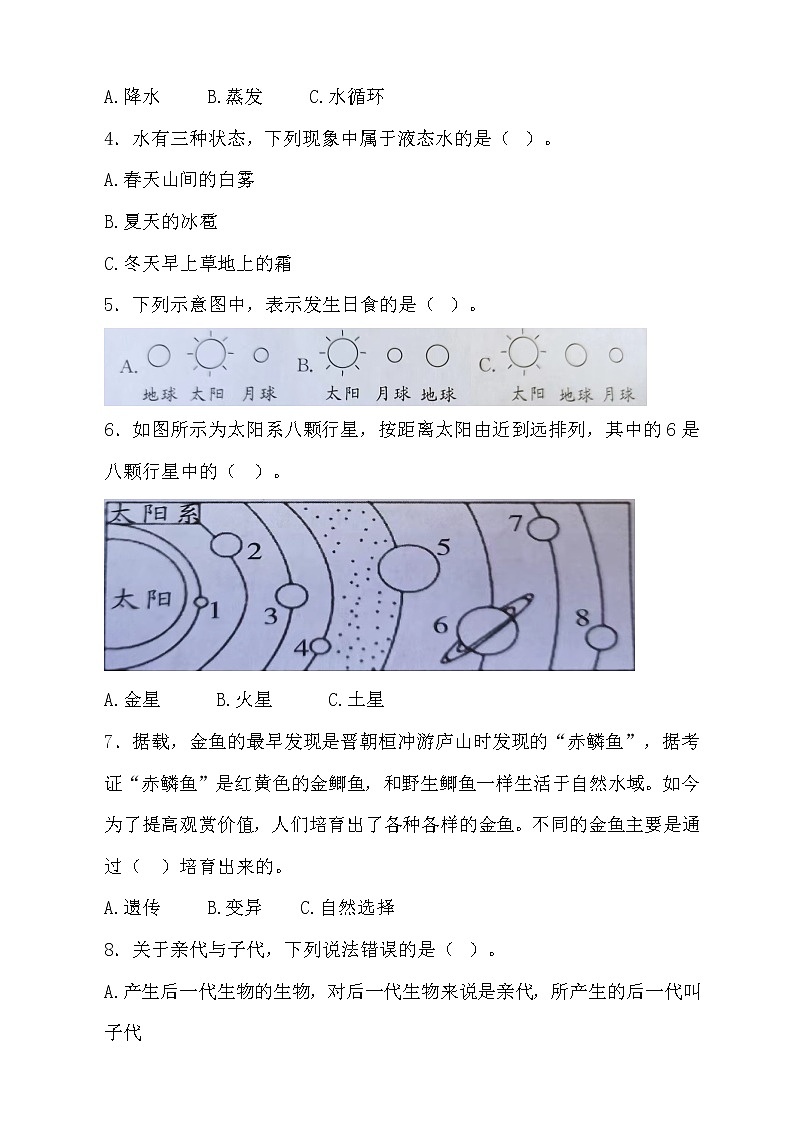 大象版科学（2017）六年级上册期末测试卷及答案03