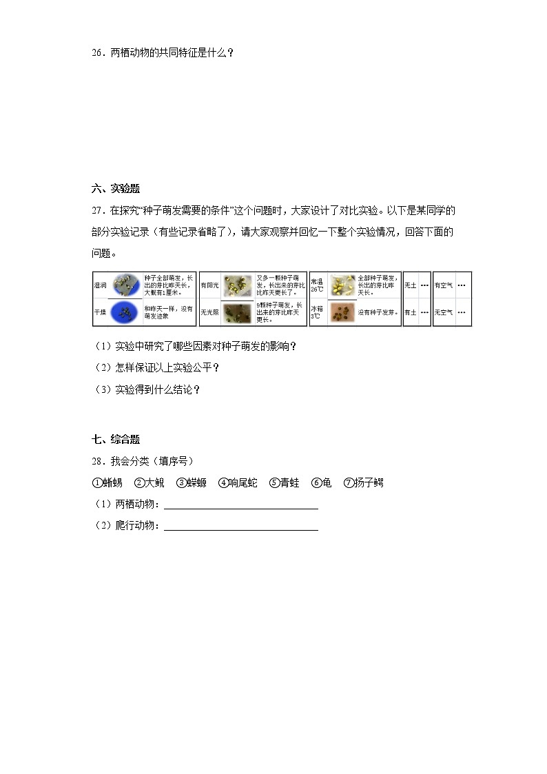 人教版四年级上册科学期中质量考查测试题（二）含答案第3页