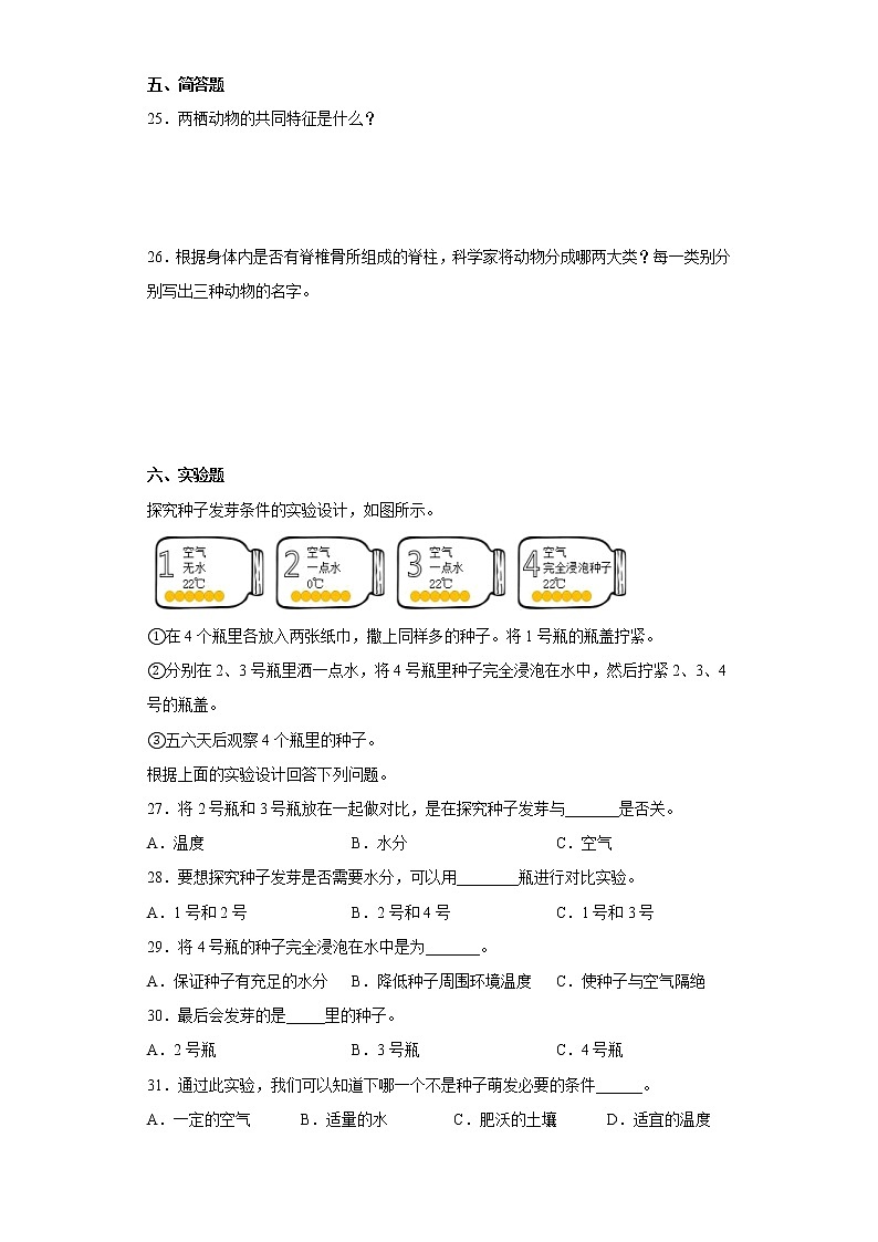 人教版四年级上册科学期中质量考查测试题（一）含答案第3页