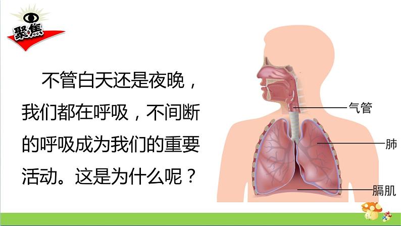 教科版四年级上册科学课件2.1感受我们的呼吸优质课件02