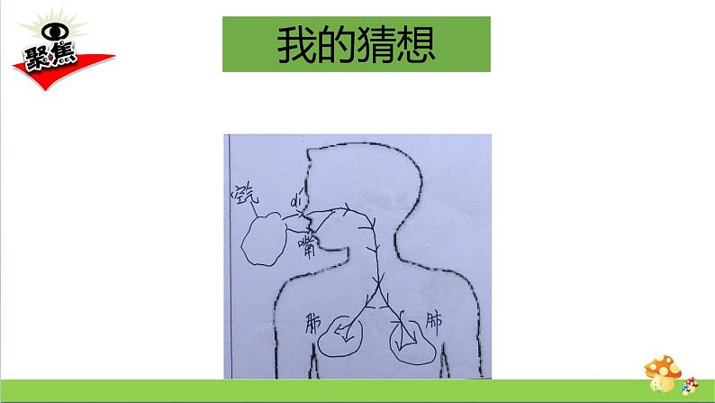 教科版四年级上册科学课件2.1感受我们的呼吸优质课件04