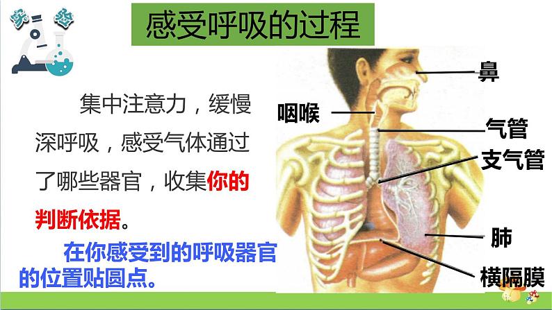 教科版四年级上册科学课件2.1感受我们的呼吸优质课件05