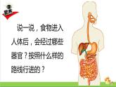 教科版四年级上册科学课件2.8食物在身体里的旅行优质课件