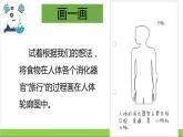 教科版四年级上册科学课件2.8食物在身体里的旅行优质课件