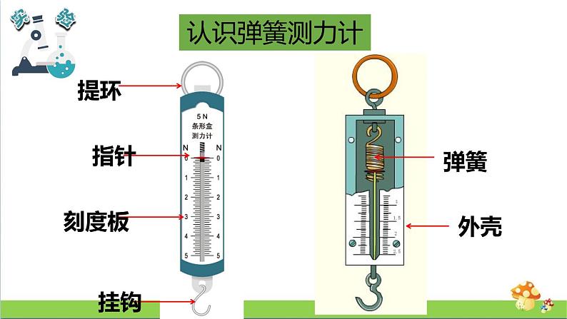 教科版四年级上册科学课件3.4弹簧测力计优质课件第4页