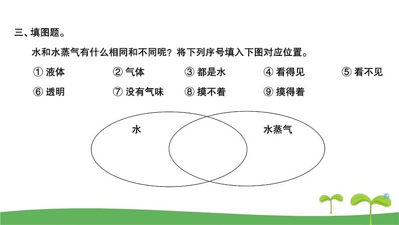 教科版科学三年级上册第1单元《水》 课课练习题复习题课件第6页