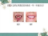 二下2.5 发现生长 课件