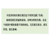 六下《保护生物多样性》课件