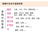 四上《食物中的营养 》课件