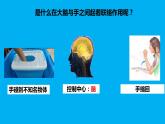 五上《身体的联络员》 课件