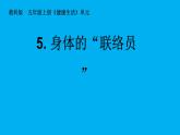 五上《身体的联络员》 课件