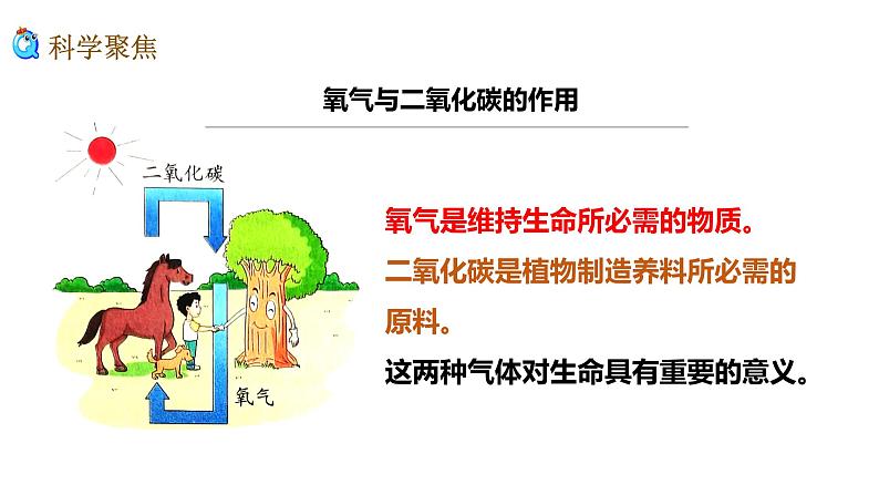 教科版四年级上册科学2.1感受我们的呼吸优质课件第8页