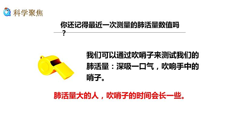 教科版四年级上册科学2.3测量肺活量优质课件第3页