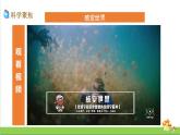 教科版四年級上冊科學(xué)1.4我們是怎樣聽到聲音的優(yōu)質(zhì)課件