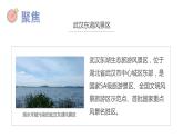 教科版五年级下册科学3.7分析一个实际的环境问题教学课件