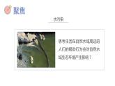 教科版五年级下册科学3.7分析一个实际的环境问题教学课件