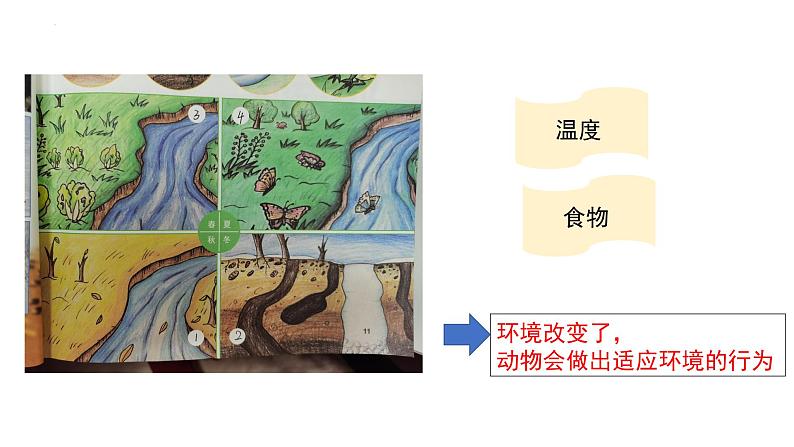 教科版五年级下册科学1.5当环境改变了教学课件04