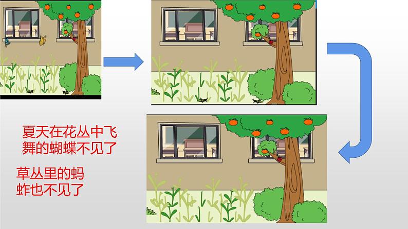 冀人版二年级上册科学7.秋天到了课件+素材07