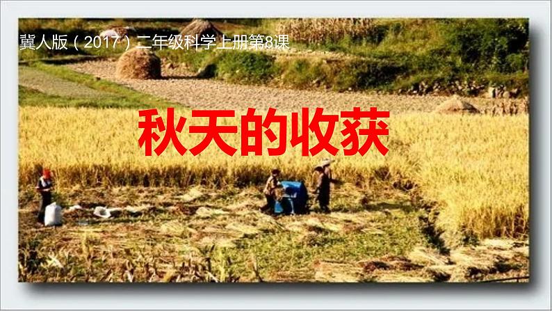 冀人版二年级上册科学8.秋天的收获（课件+素材）01