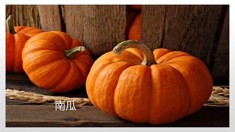 冀人版二年级上册科学8.秋天的收获（课件+素材）05