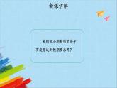 大象版三年级下科学《舒适的“家”》教学课件