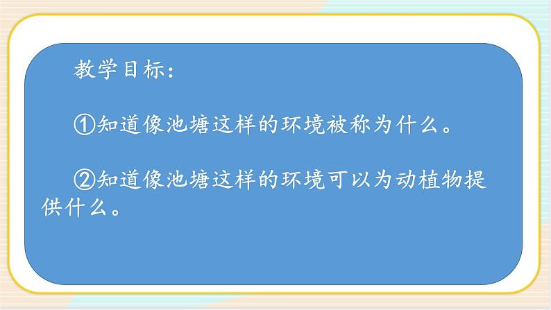 冀人版六年级上册科学14.池塘里的世界教学课件06