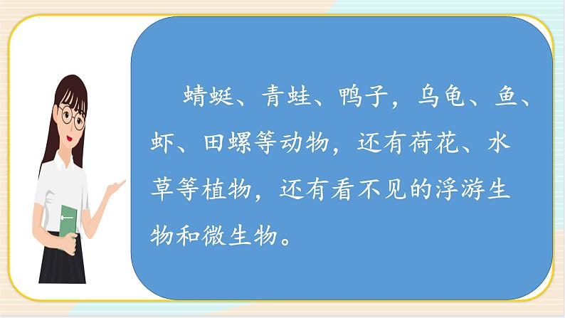 冀人版六年级上册科学14.池塘里的世界教学课件08