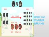 冀人版六年級(jí)上科學(xué)15瓶子中的科學(xué)教學(xué)課件