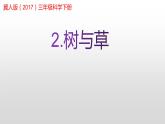 冀人版三年級下科學(xué)2.樹與草課件