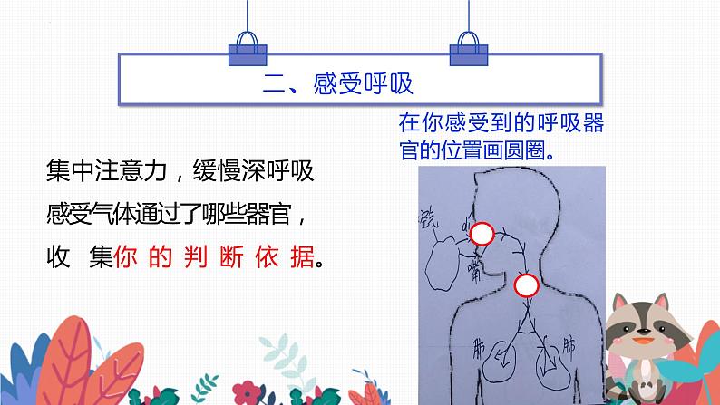 教科版四年级上科学2.1《感受我们的呼吸》教学课件第5页