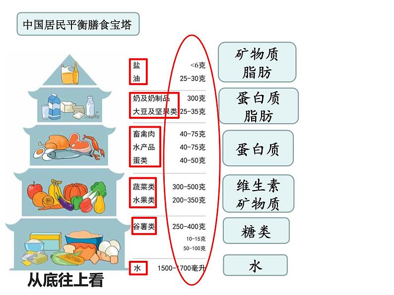 教科版四年级上册科学2.6营养要均衡教学课件07