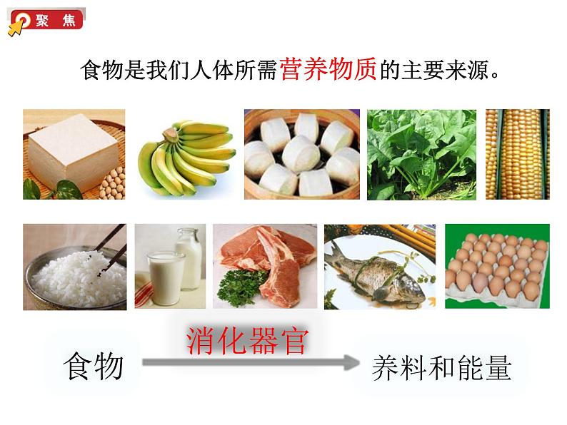 教科版四年级上册科学2.7食物在口腔里的变化教学课件02