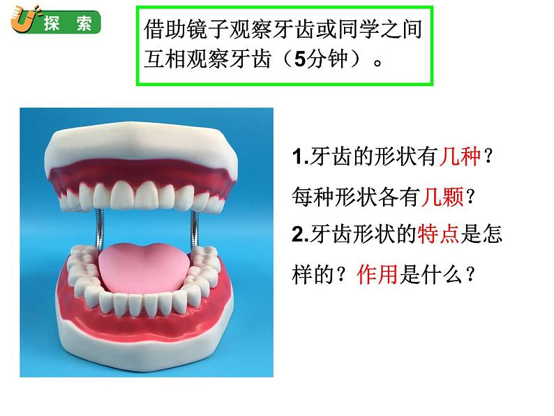 教科版四年级上册科学2.7食物在口腔里的变化教学课件07