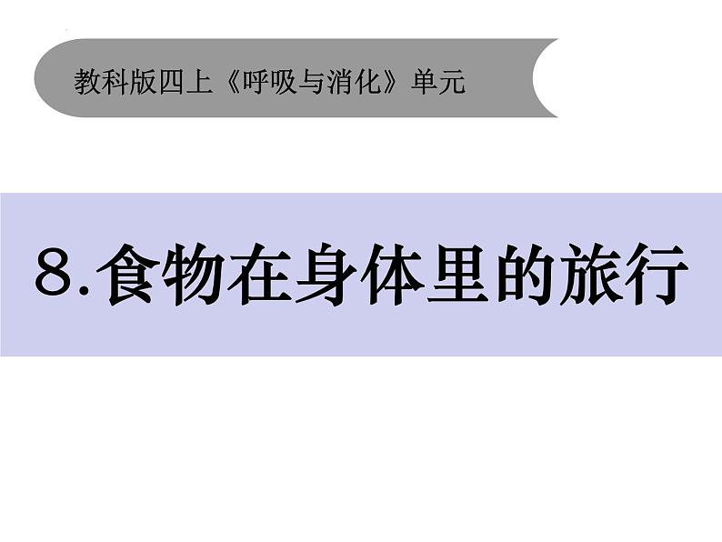 教科版四年级上册科学2.8食物在身体里的旅行教学课件01